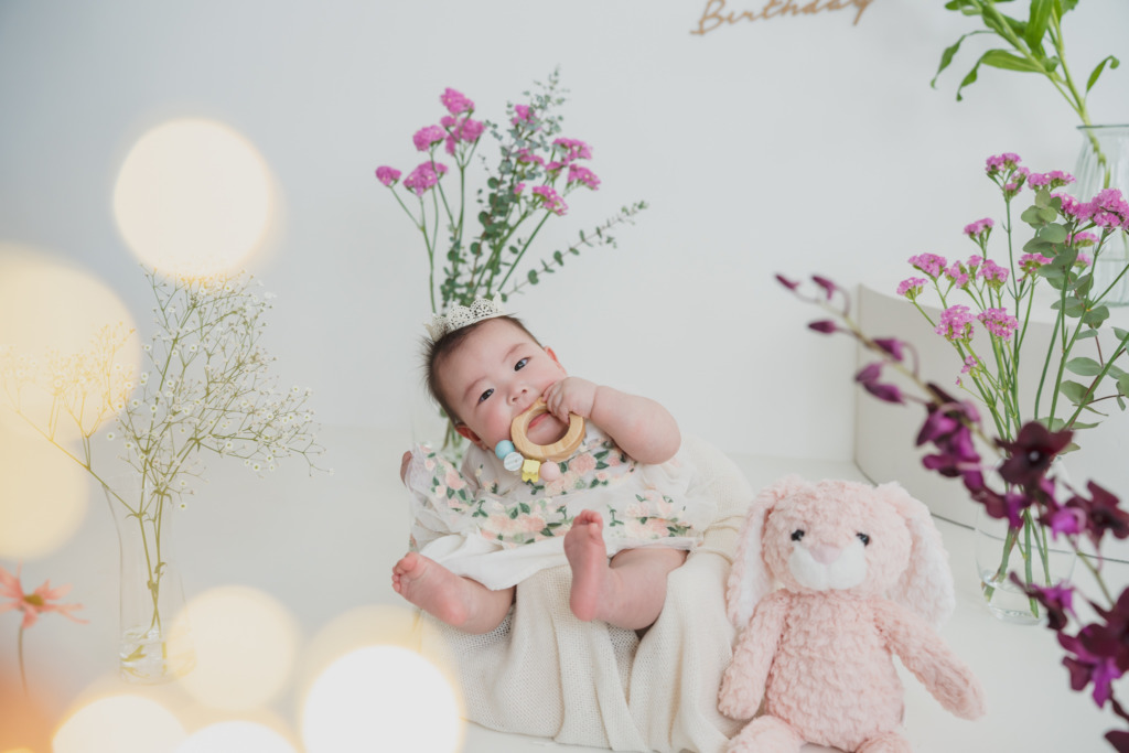 F4キャンバスセットプラン